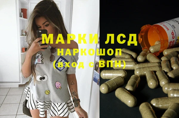 ГАЛЛЮЦИНОГЕННЫЕ ГРИБЫ Козельск