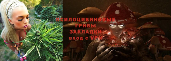 мескалин Козловка