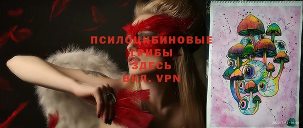 ГАЛЛЮЦИНОГЕННЫЕ ГРИБЫ Козельск