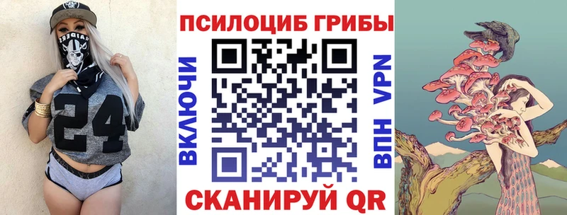 Псилоцибиновые грибы прущие грибы  купить  сайты  мега ссылки  Называевск 